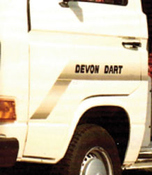 VW T25  Devon Dart Side Stripe and Logo Decals
